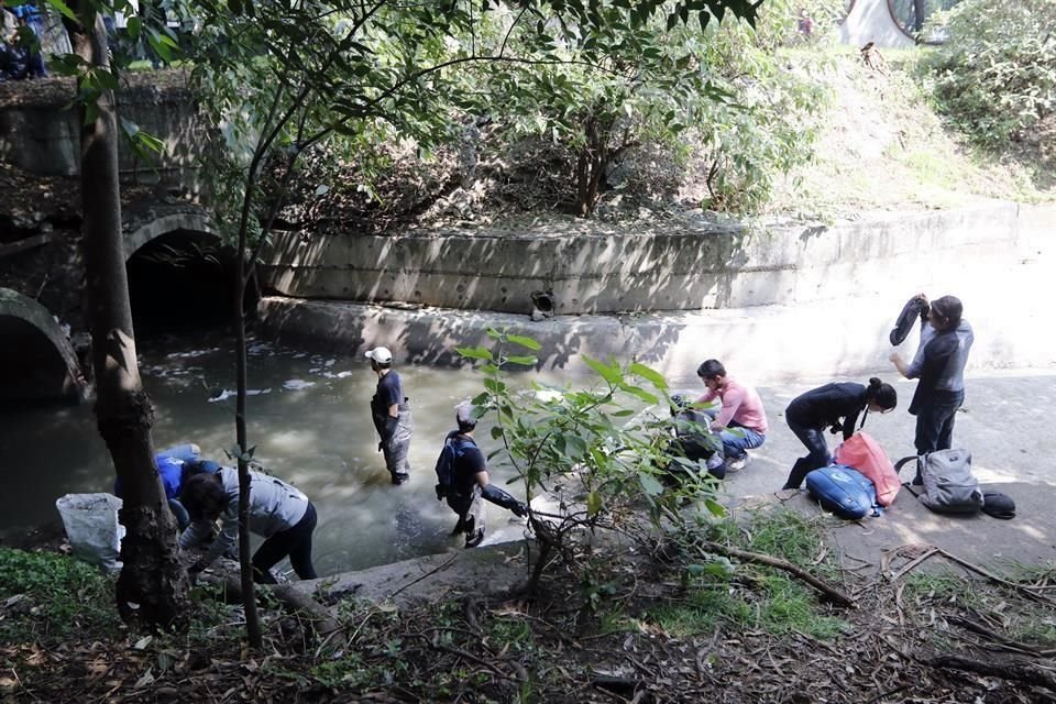 Divididos en distintas cuadrillas, los participantes pintaron la barda perimetral de los Viveros, donde se recogieron desechos de las áreas comunes.