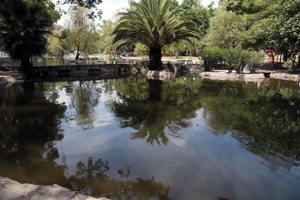 De acuerdo con fotografías y videos que los usuarios han tomado, los patos tienen signos de maltrato y tortura, incluso algunos tienen huella de lo que podría ser un proyectil.