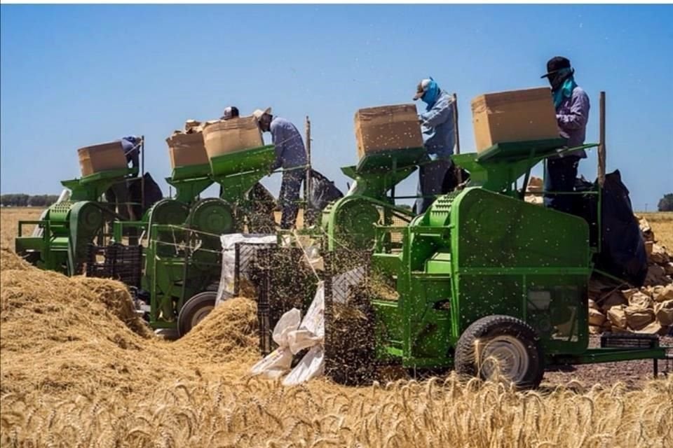 El objetivo es proporcionar servicio de tractores a un agricultor que lo solicite, por medio de una aplicación.