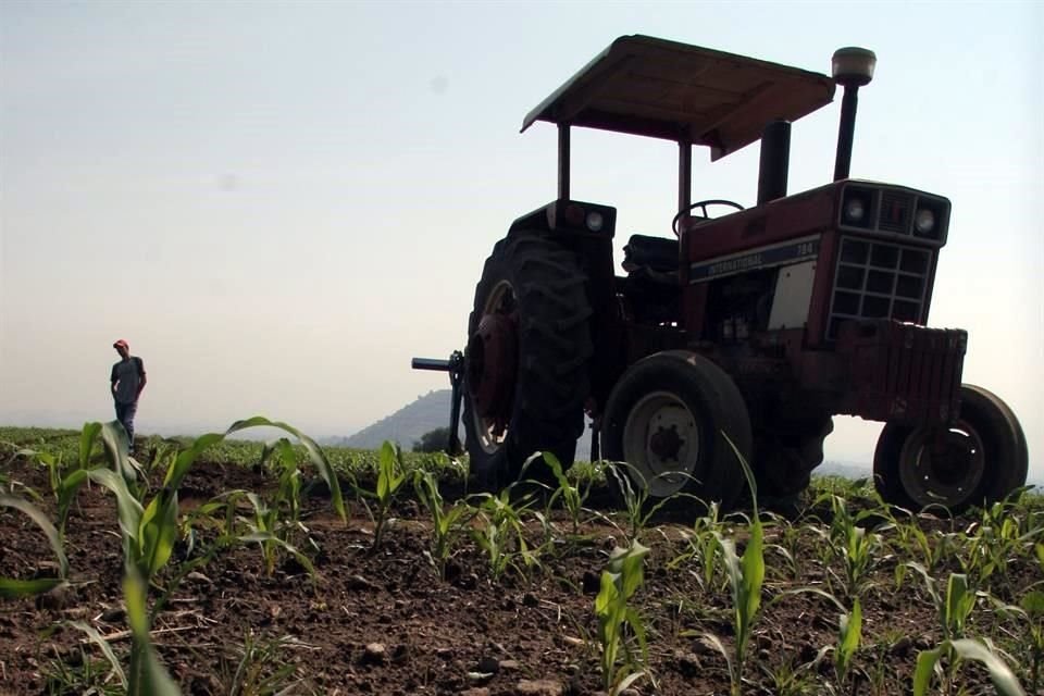 SAT fijó las tasas efectivas para el alquiler de maquinaria y equipo agropecuario.