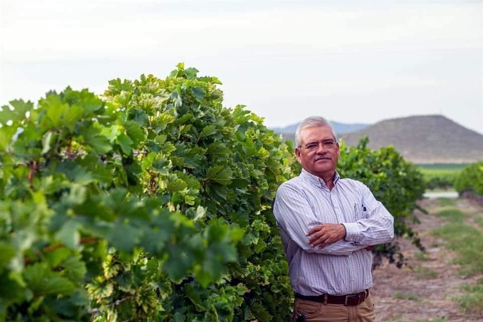 Daniel Muñoz, agrónomo de la vinícola Casa Madero.