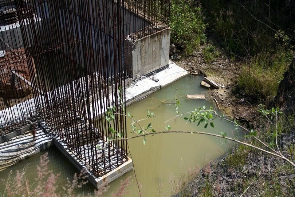 La hierba crecida tambén es ideal para el desarrollo del bicho. En la zona, según vecinos, se han incrementado los casos de dengue.