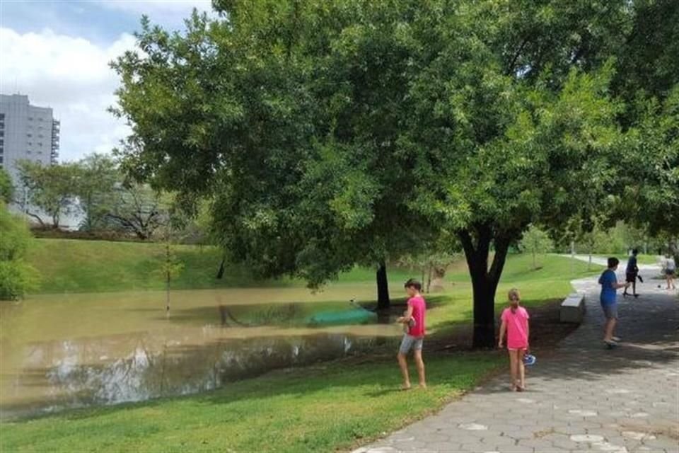 El Patronato pidió a los visitantes no pisar los jardines para evitar un daño a las áreas verdes.