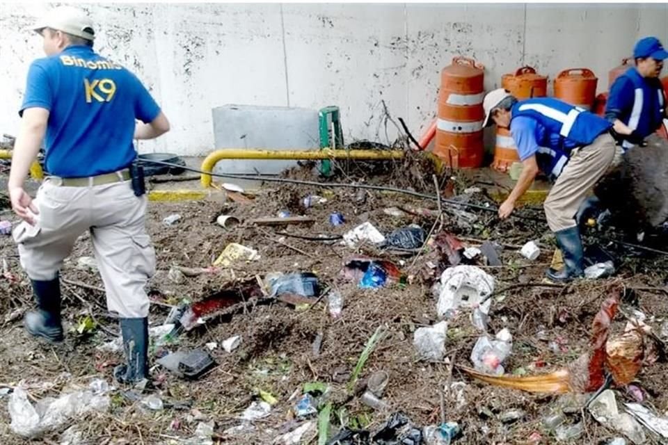 Trabajadores de la UANL recogieron los desechos acumulados en el paso a desnivel de Gustavo A. Bécquer que conecta la Colonia Anáhuac con Ciudad Universitaria.