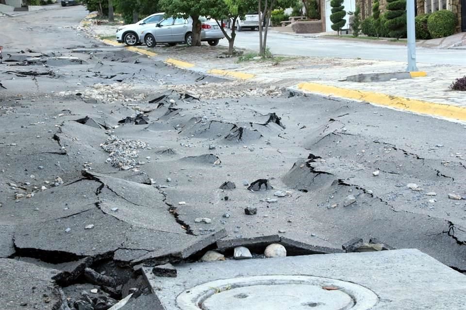 Sobre la Avenida Paseo de Los Leones, principalmente en el camellón central, aún existían ayer evidencias del paso de la tormenta.