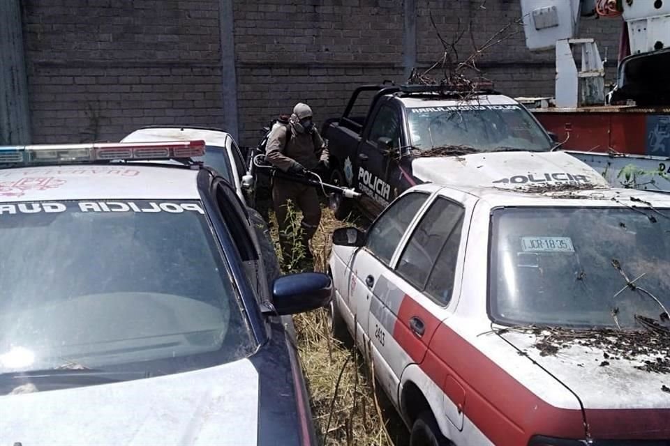 En plena crisis por el dengue, la SSJ reforzó sus brigadas para llegar a mil personas que se encarguen de hacer labores de fumigación.