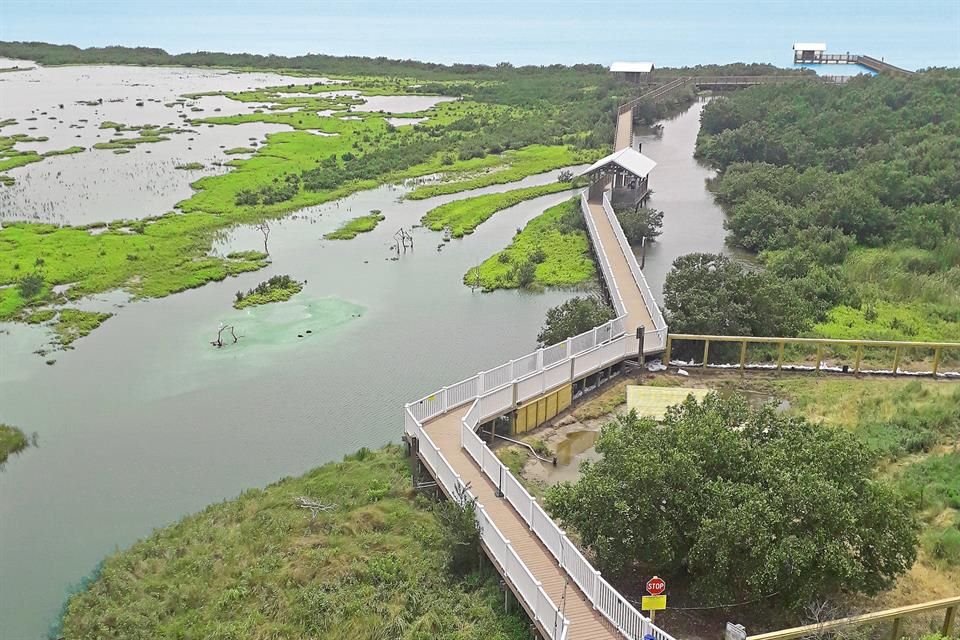 PARA SABER. Isla del Padre es un sitio tan peculiar en EU que, si alguien ve a una tortuga sin dueño puede llamar al 911 y acuden a recogerla para canalizarla a Sea Turtle o regresarla al mar.