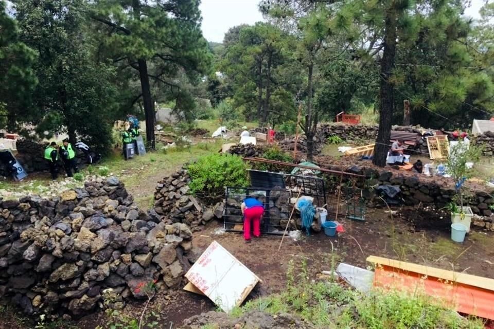 Casas construidas en los 12 meses recientes en medio del bosque y en suelo de conservación, son demolidas por trabajadores del Gobierno.