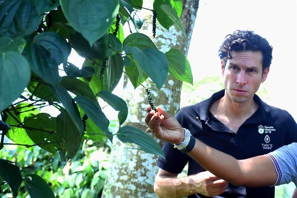 Andrés Jurado, director de Tianté, recorre la recién adquirida finca.