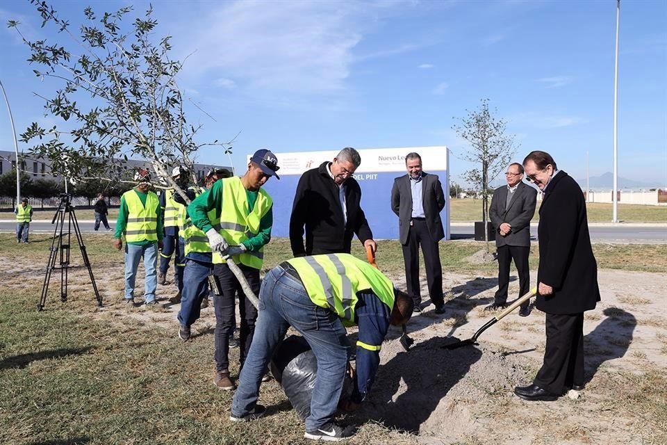 La Dirección de Ecología de Apodaca donó más de 300 encinos siempre verde y robles que serán plantados en lotes de 30 unidades.