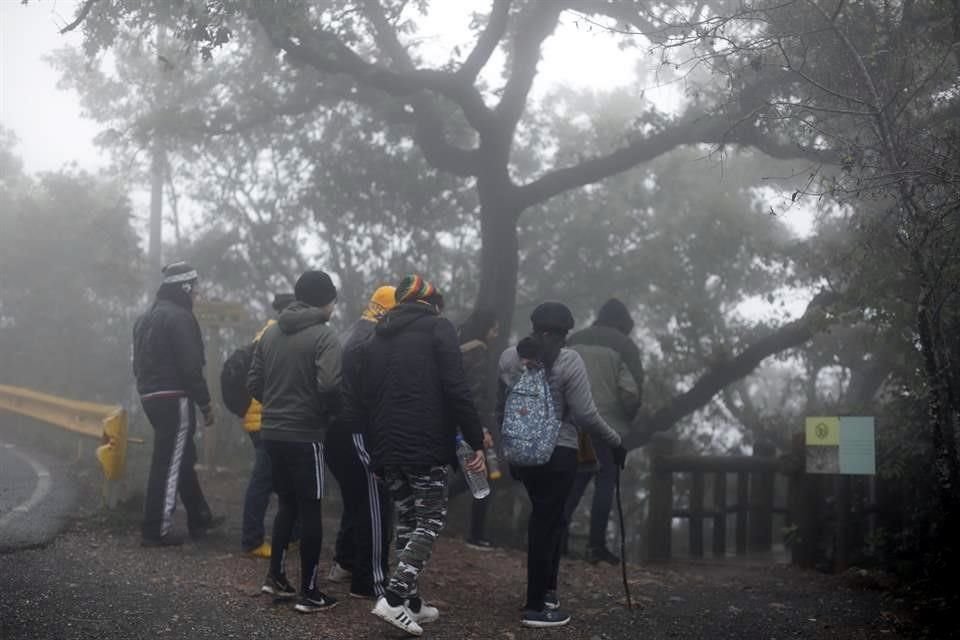 El Parque Ecológico de Chipinque fue cubierto por la neblina.
