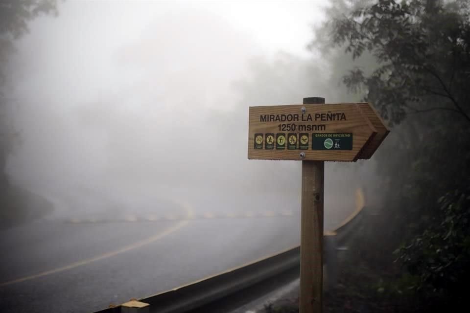 El Parque Ecológico de Chipinque fue cubierto por la neblina.