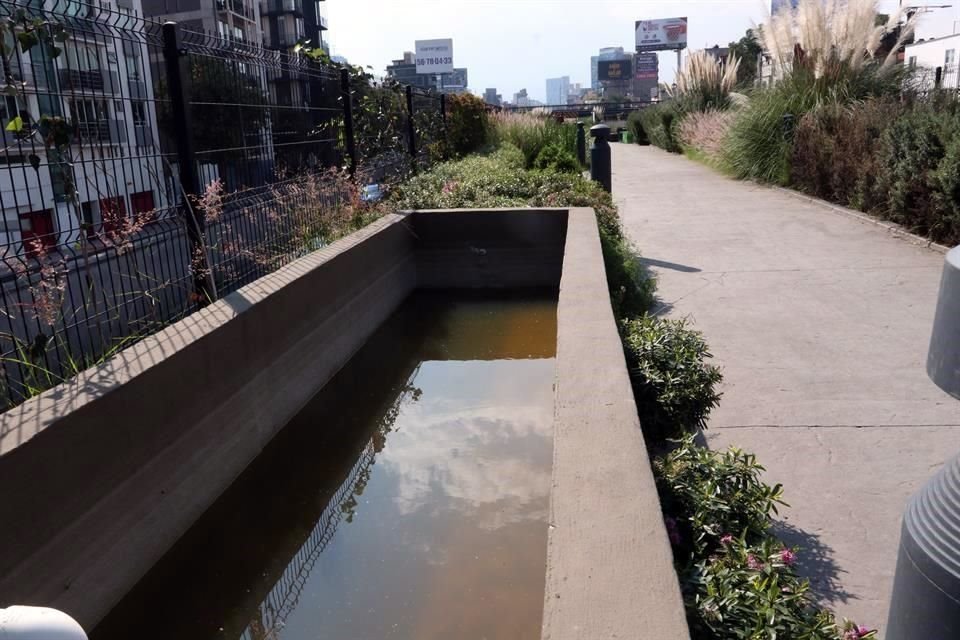 El agua estancada en el Ecoducto.