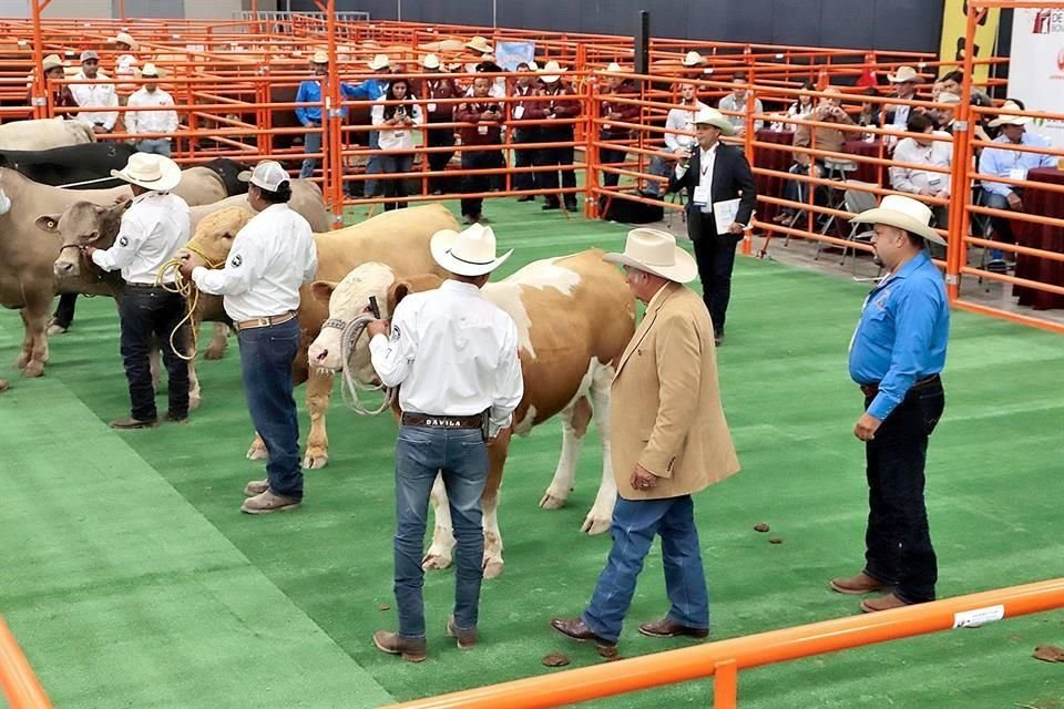 Productores compitieron en la segunda edición del Concurso Novillo Gordo del Noreste 2019, en el que participaron 29 animales, siendo Carnes Finas San Juan quien compró a los premiados.