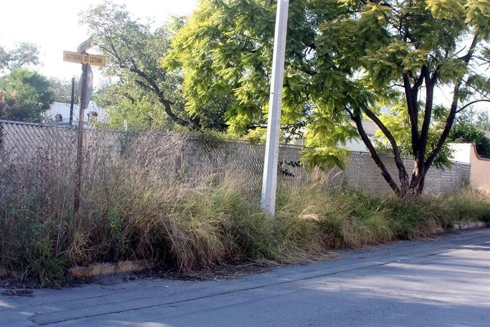 La banqueta que rodea un predio en Gutierre de Cetina y Santos Chocano, 'desapareció' a causa de la hierba.