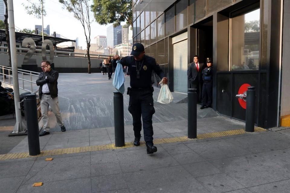 Policías de la SSC encontraron a los animalitos en bolsas de plástico y una caja de cartón. 