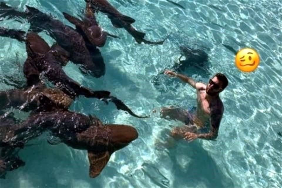 André-Pierre Gignac publicó en Instagram en días recientes imágenes de sus vacaciones en Bahamas en las que nada entre tiburones.
