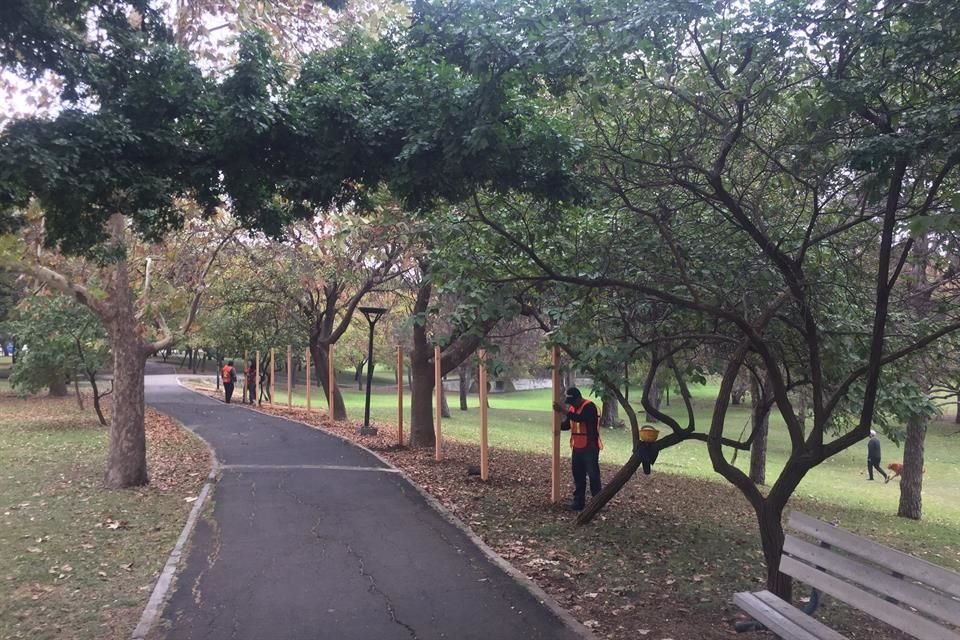 Las obras preliminares de la rehabilitación del Parque Bosques del Valle iniciaron ayer.