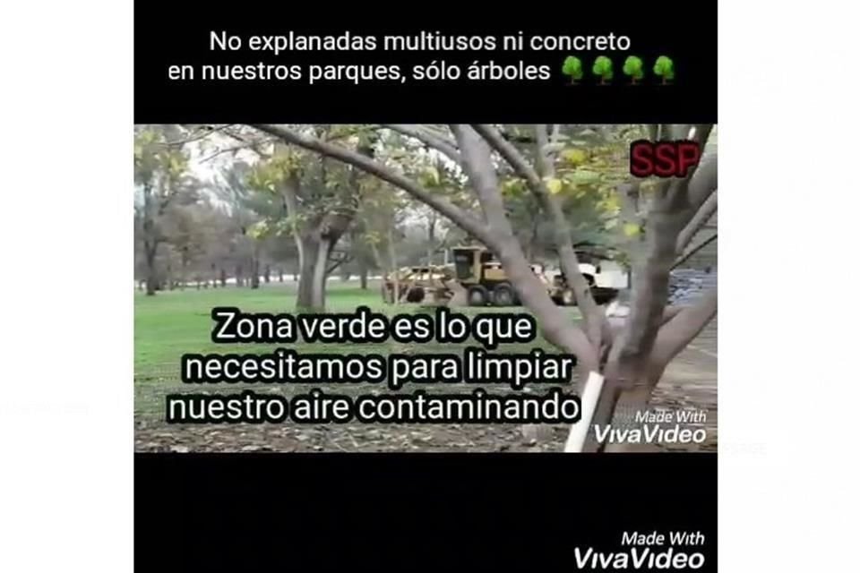 En un video, cuestionaron que vayan a ser taladas algunas de las especies que ya tienen 30 años.