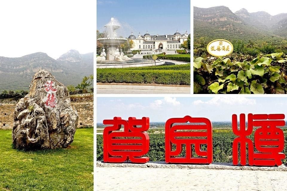 China se ha convertido en el décimo productor y quinto consumidor a nivel mundial.