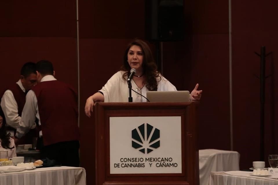 Eda Martínez, presidenta del Consejo Mexicano de Cannabis y Cáñamo, aseguró que entre los propósitos del organismo está propiciar incorporación adecuada al mercado internacional.