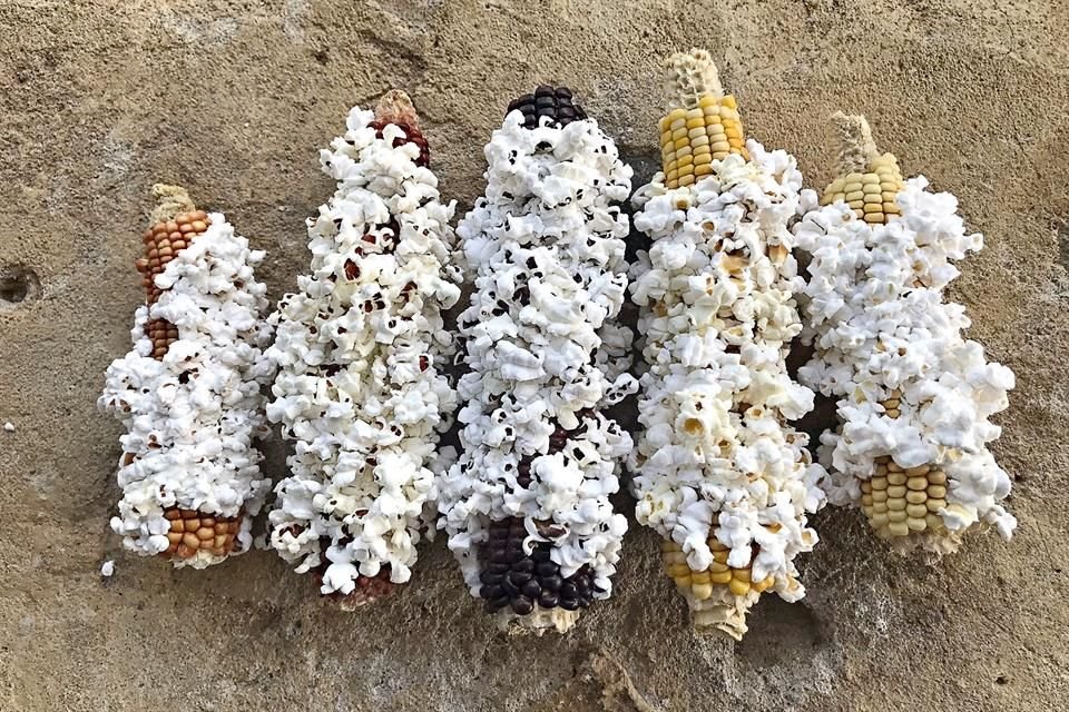 Comparada con la palomita estadounidense, la mexicana es más pequeña y sustanciosa.