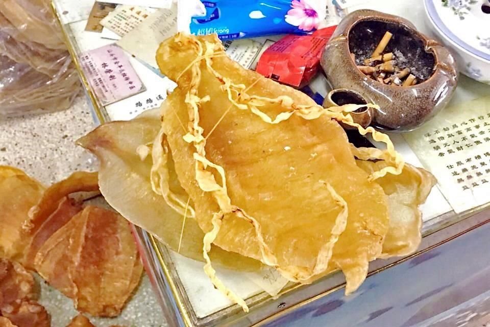 Un kilo de vejiga o buche de este pez puede valer hasta 46 mil dólares en el mercado negro de China y Hong Kong, donde se le atribuyen propiedades curativas y afrodisíacas.