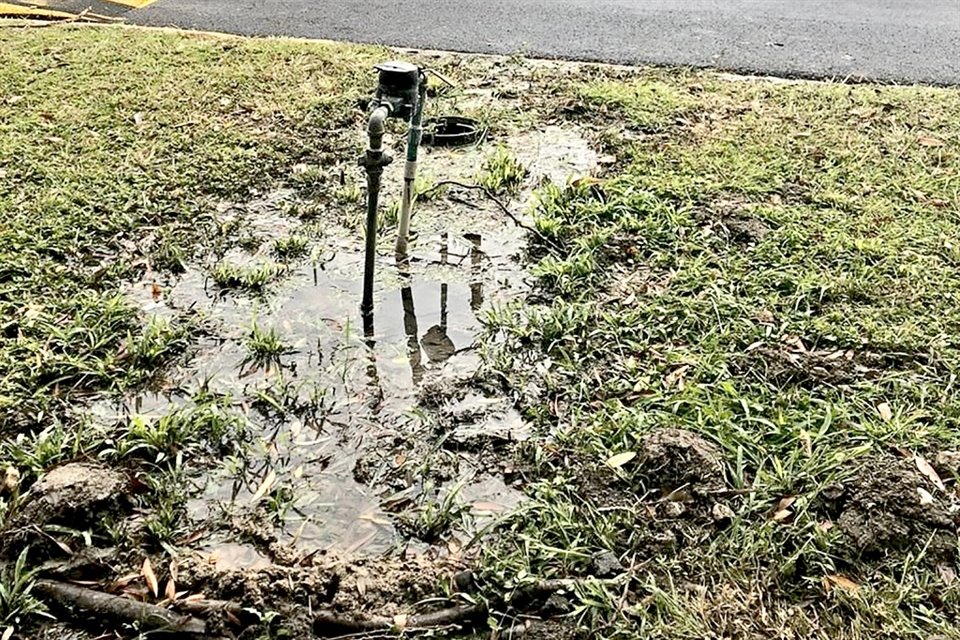 El desperdicio de agua al año en el Estado equivale a tres veces la Presa La Boa.