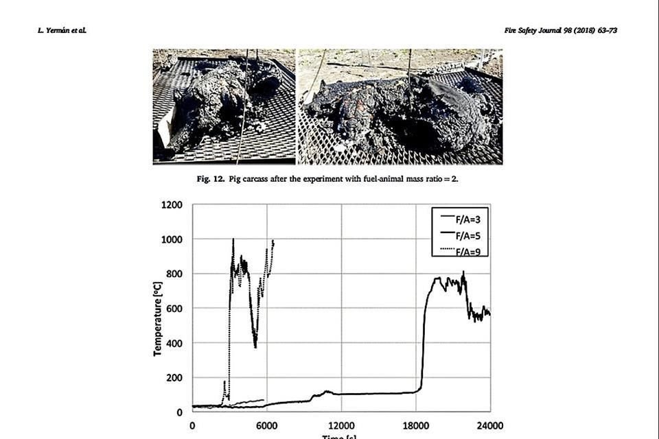 En la investigación se encontró también que la presencia de múltiples cuerpos no favorece al fuego, sino que lo apaga.