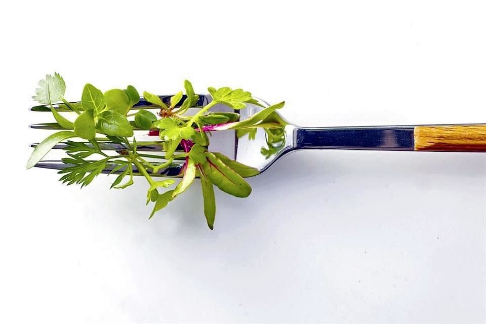 Además de aportar frescura, los brotes tiernos de algunas verduras añaden sutileza al plato.
