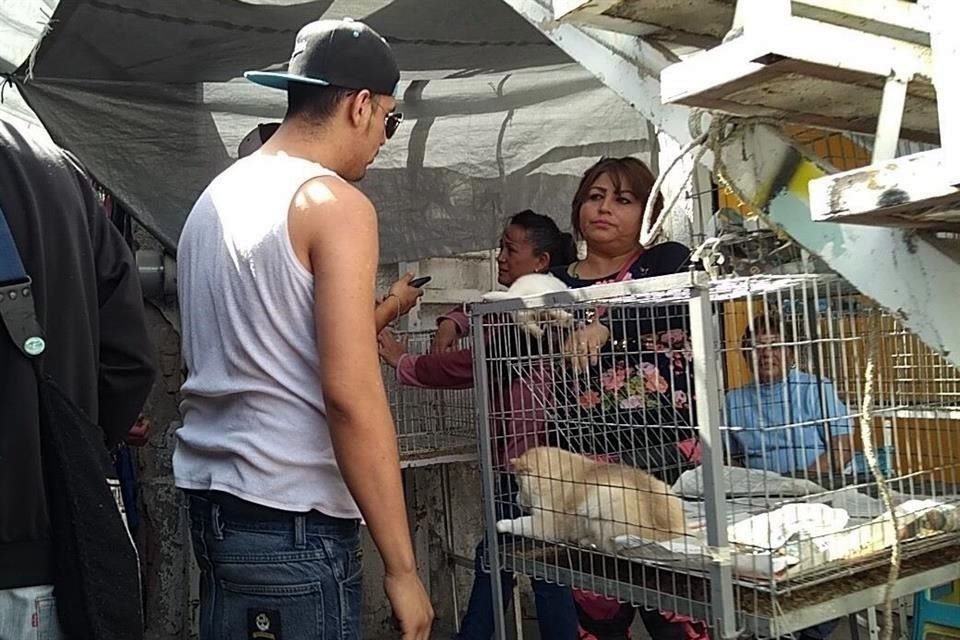 Vecinos afirman que pese a los operativos continúa la venta de mascotas en El Baratillo.