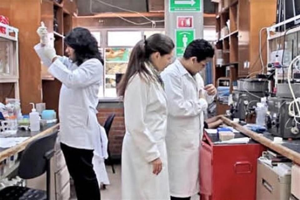 Laura Palomares es investigadora del Instituto de Biotecnología (IBt) de la UNAM.