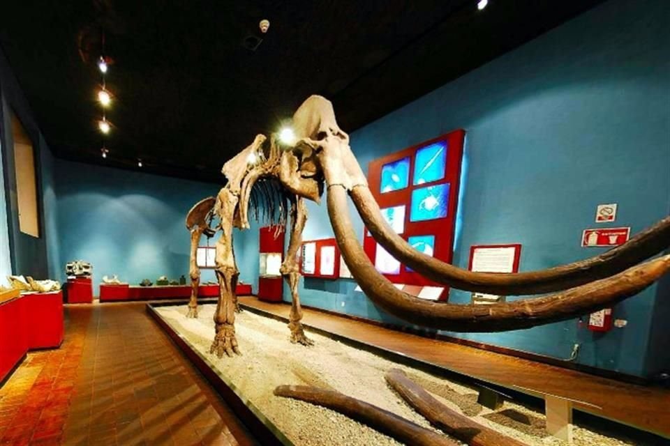 El Museo Regional de Guadalajara se encuentra en los recorridos virtuales que ofrece el INAH.