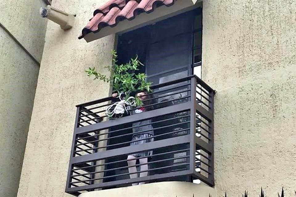 Una niña colocó una rama en el balcón de su hogar.