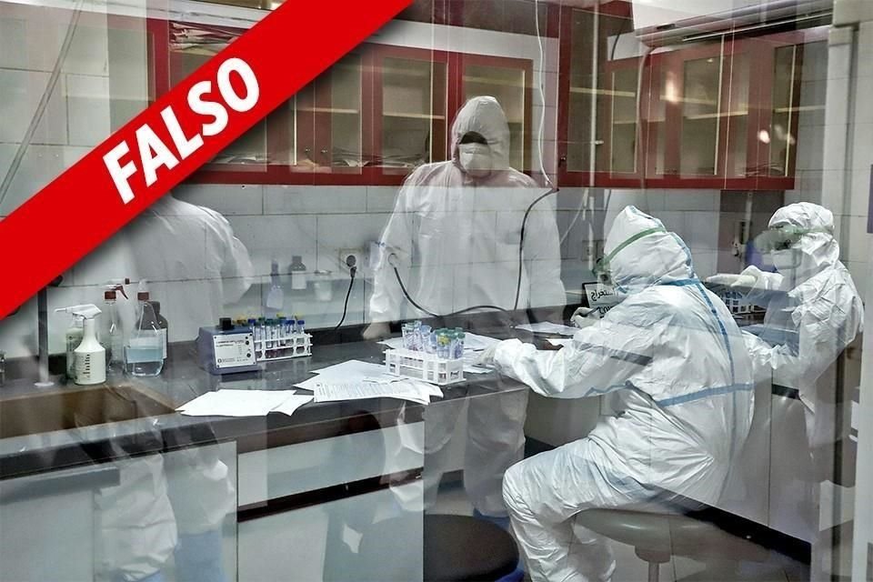 Un equipo de científicos logró establecer que el SARS-CoV-2 se originó en la naturaleza, no en un laboratorio.