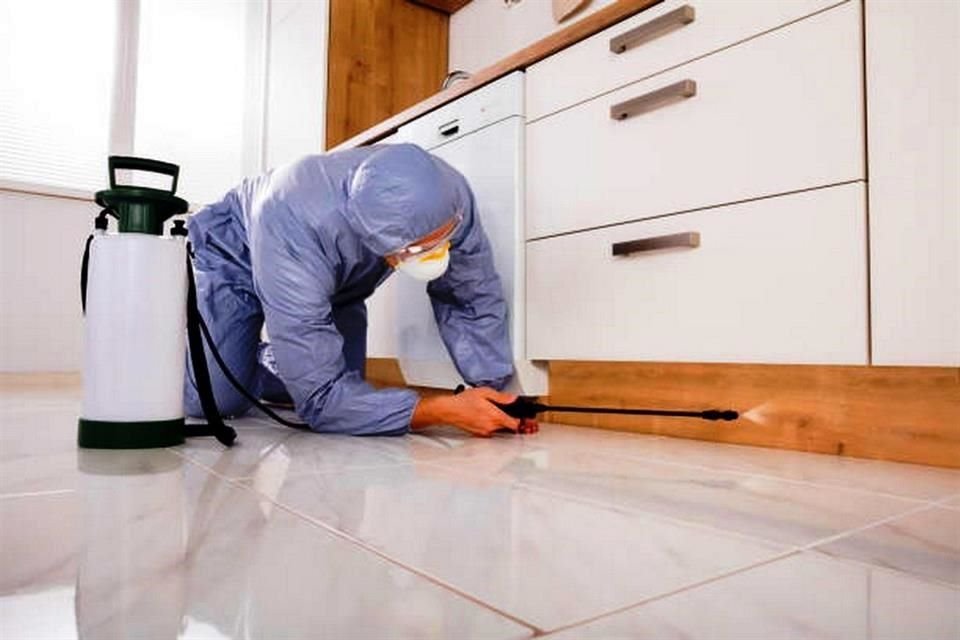 El costo de una sanitización para una vivienda oscila entre los 890 y mil 200 pesos, dependiendo de los metros cuadrados.