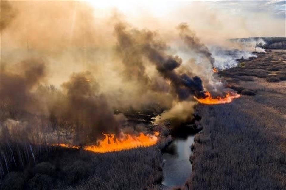 Incendios forestales en norte de Ucrania se acercan a planta nuclear en Chernobil, lo que causa aumento en radiactividad en la zona.