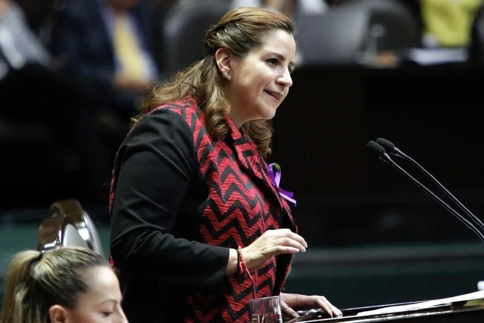 Martha Tagle, diputada de Movimiento Ciudadano.