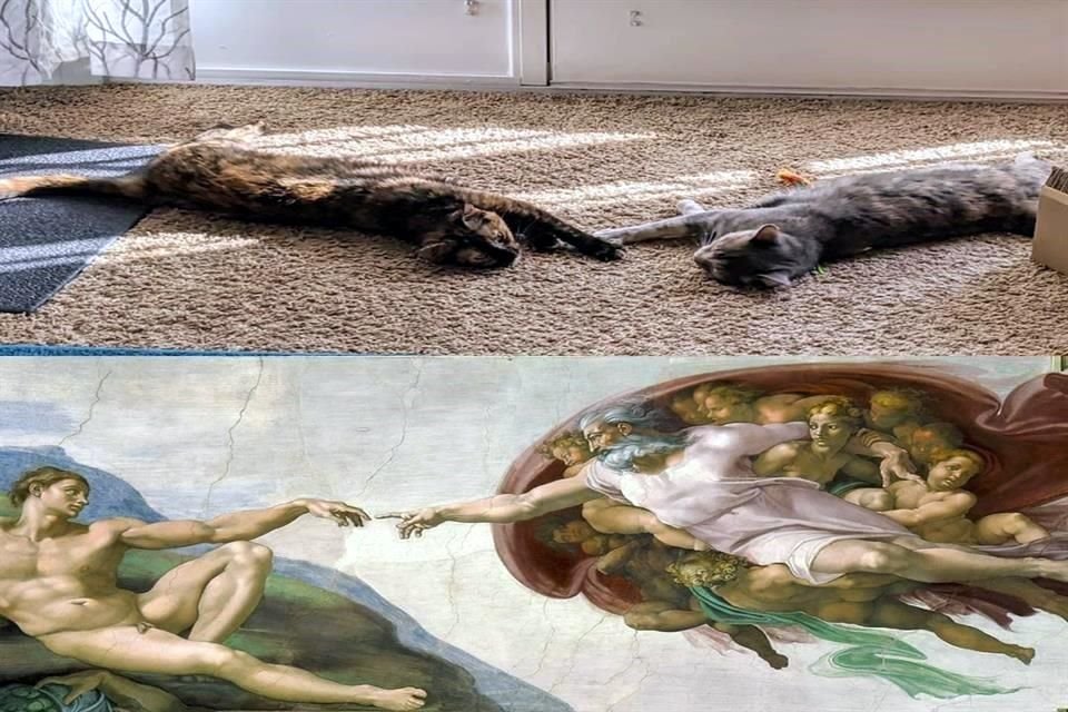 'The Creation of Adam' (La Creación de Adán) Miguel Ángel, 1511 @marcoinstitute
