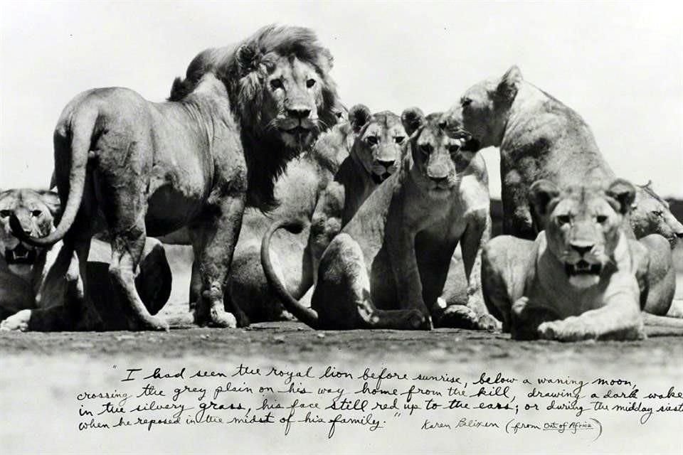 El afamado fotógrafo Peter Beard murió hace unos días y dejó impresionantes imágenes del continente africano que harán soñar a los viajeros.