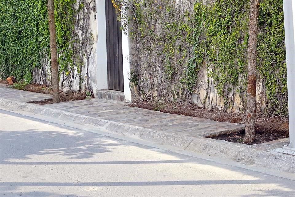 La banqueta de la calle Misión de San Francisco fue bloqueada por tres encinos que sembró el Municipio en el lugar.