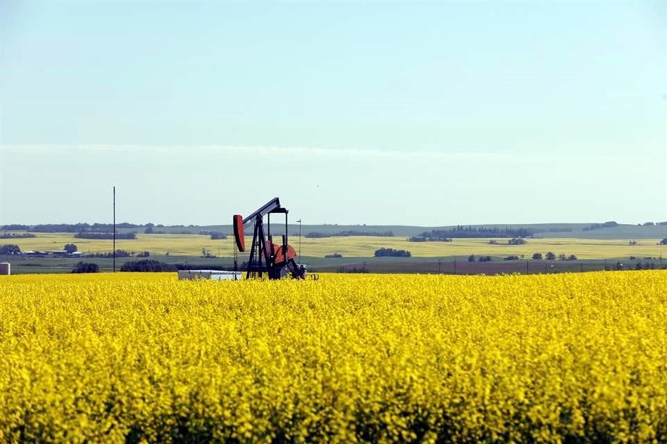 El viernes, el crudo Brent subió 1.51 dólares, o 5.13 por ciento, a 30.97 dólares el barril. Por su parte, el WTI ganó 1.19 dólares, o 5.05 por ciento, y cerró en 24.74.