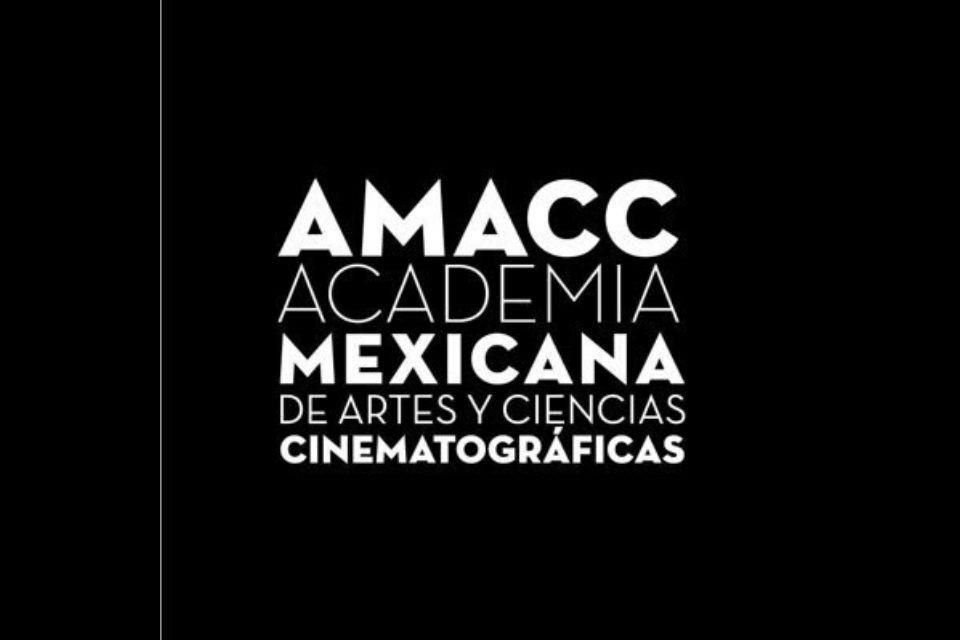 La Academia informó que la iniciativa pone en riesgo el desarrollo de la industria cinematográfica nacional.