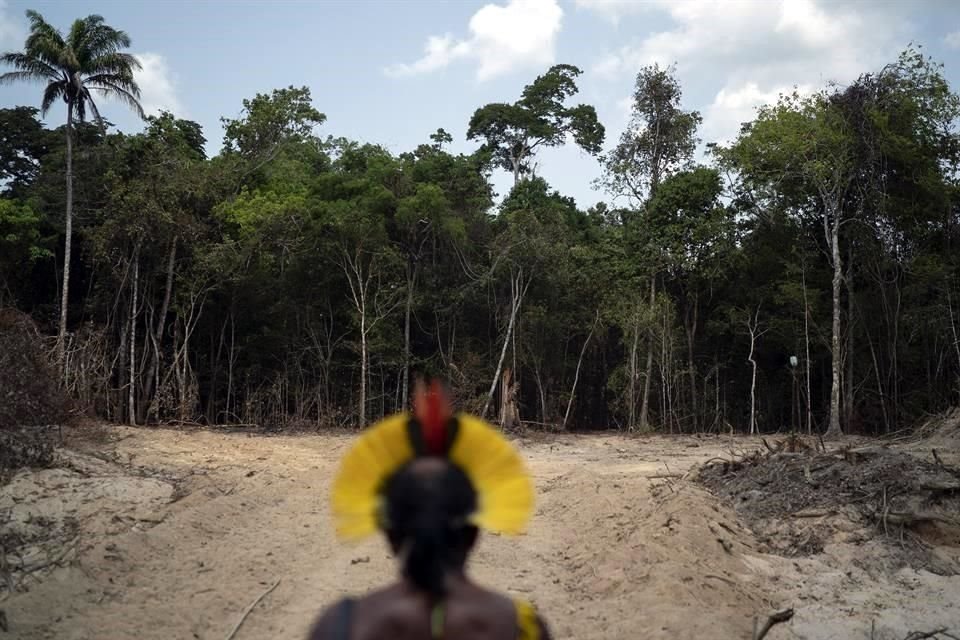 Foto de archivo de 2019 de uno de los líderes de la tribu kayapo mirando la deforestación de la Amazonía.