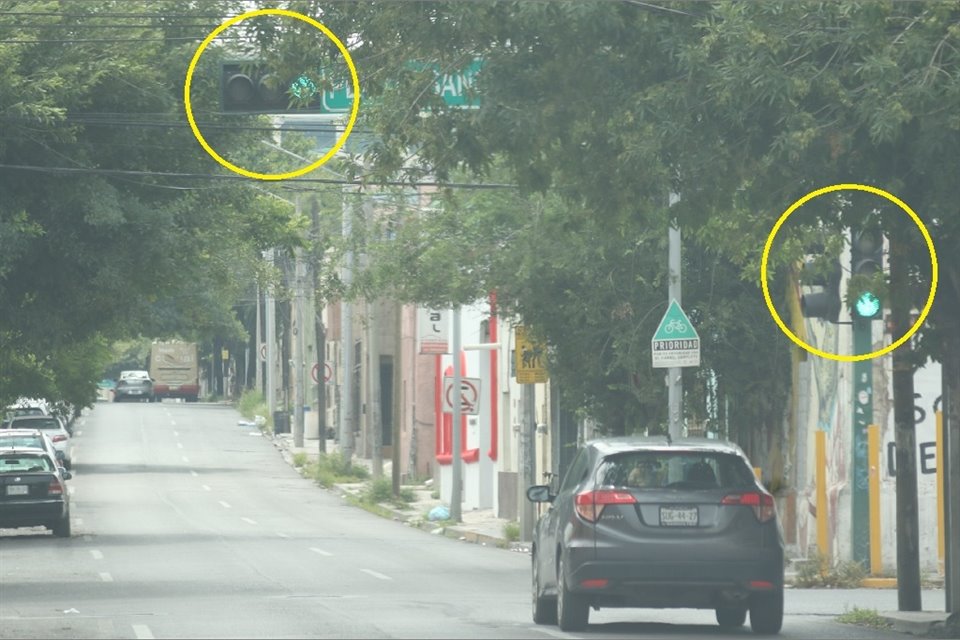 En el cruce de Washington y Platón Sánchez el semáforo es poco visible porque lo cubren las ramas de un árbol.