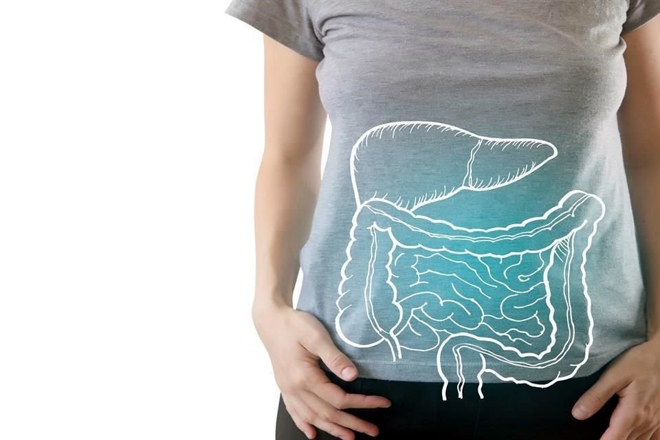 Expertos estiman que viven más de 100 trillones de células bacterianas en el intestino.