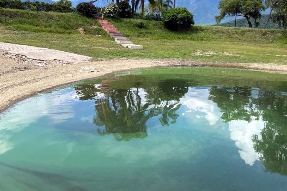 Manchas verdes aparecieron en la Presa La Boca.