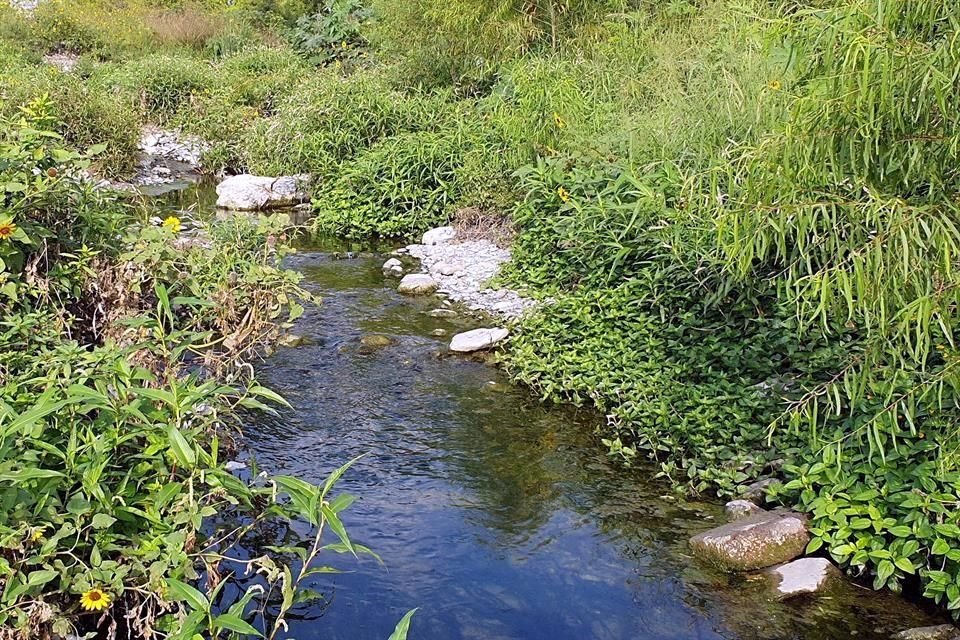 Una excursión por las zonas más boscosas, permite atestiguar la transformación de esta zona.