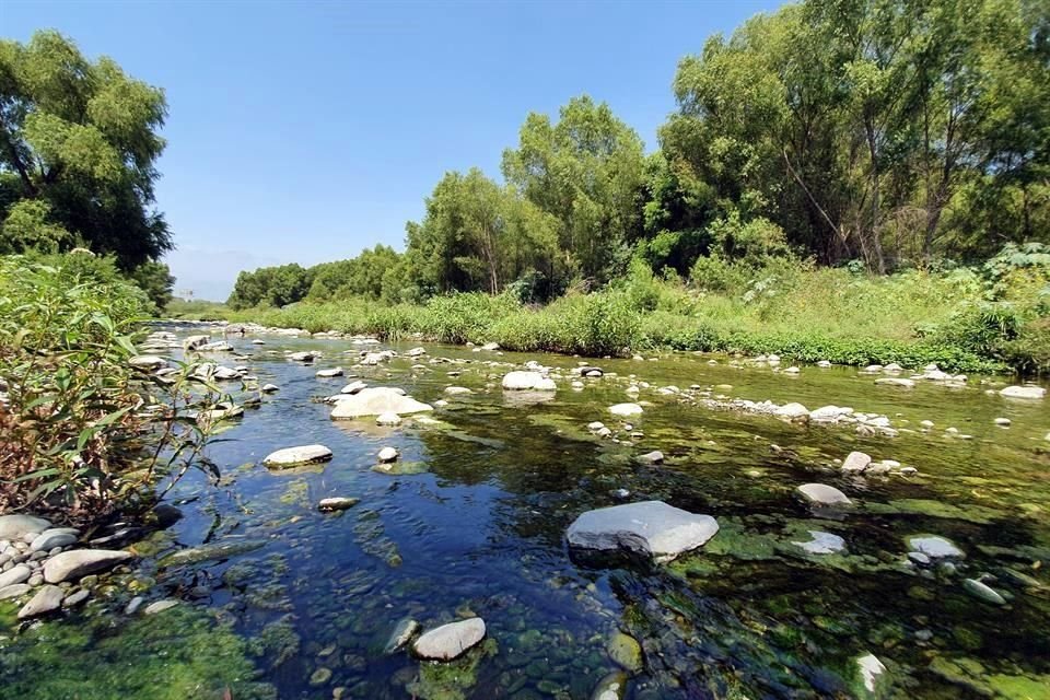 La vegetación es frondosa y forma una especie de túnel o corredor, que oculta la mayor parte de su biodiversidad.