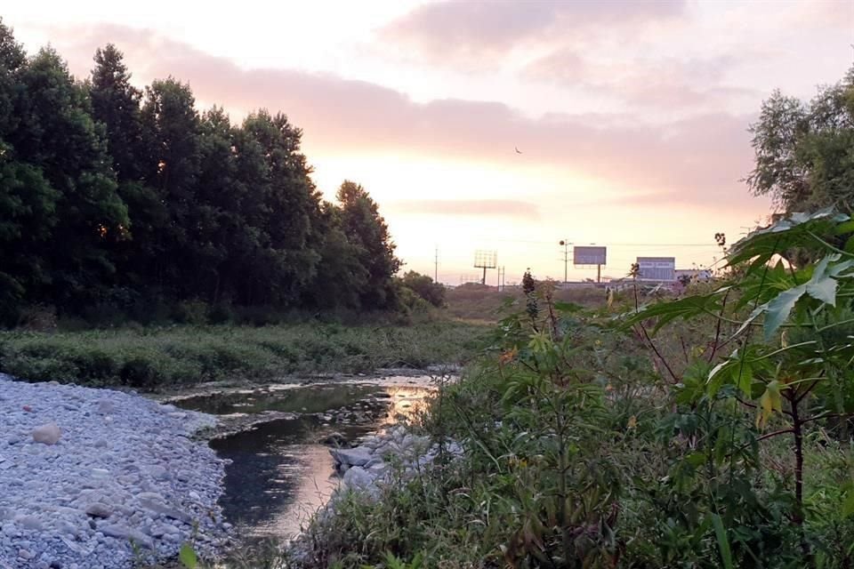 Tras la devastación del cauce por el golpe del huracán Alex, hace 10 años, la flora y fauna comenzó a crecer en medio de la Metrópoli.